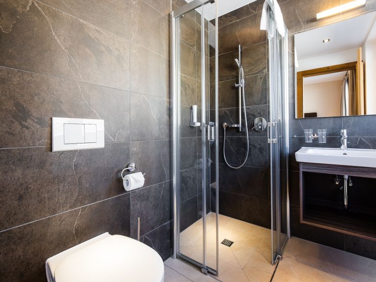 Chalet-appartement Wildkogelresorts Type IVa