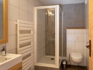Chalet-appartement Les Portes du Grand Massif-16
