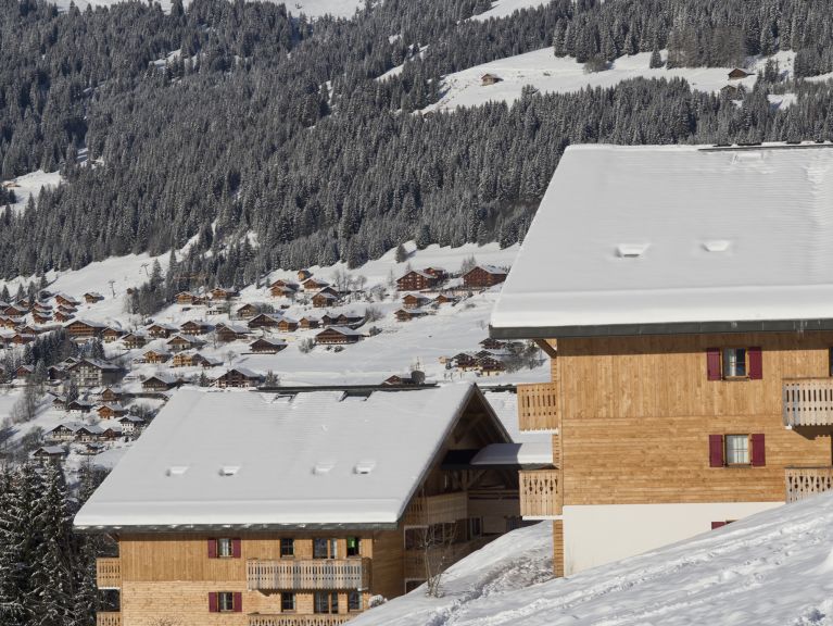 Chalet-appartement Le Grand Lodge