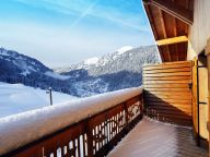 Chalet-appartement Le Grand Ermitage-15