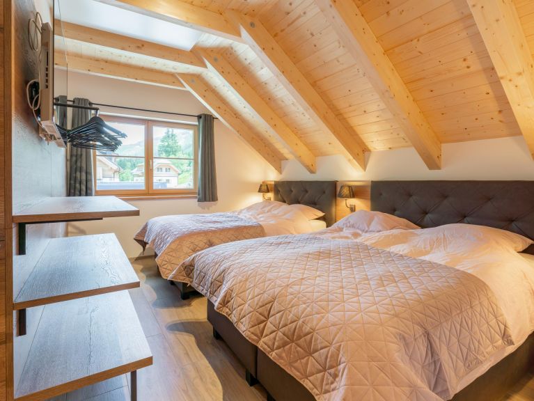 Chalet Riesneralm Erna