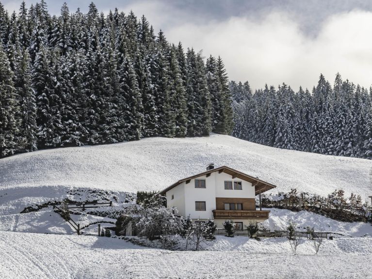 Chalet Linden Platzl