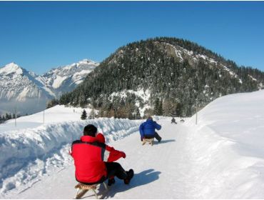 Skidorp Zeer pittoresk en kindvriendelijk wintersportdorpje-2