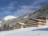 Chalet-appartement Le Grand Lodge-19