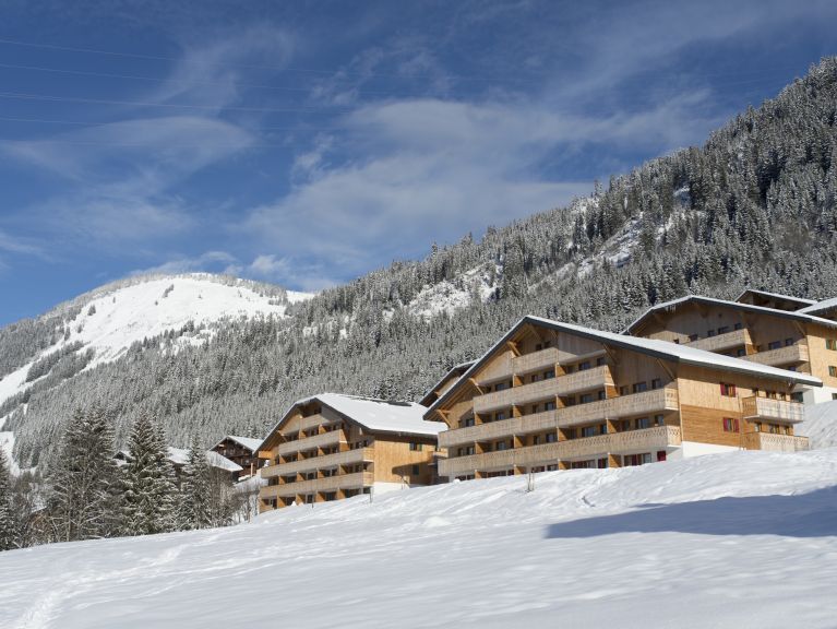 Chalet-appartement Le Grand Lodge