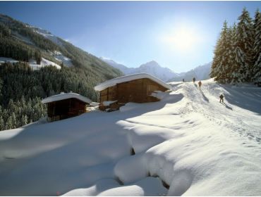 Skidorp Zeer pittoresk en kindvriendelijk wintersportdorpje-4