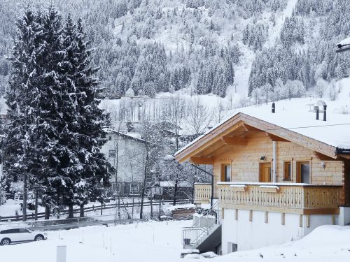 Chalet Wildenbach
