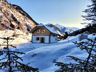 Chalet Riesneralm Liene-19