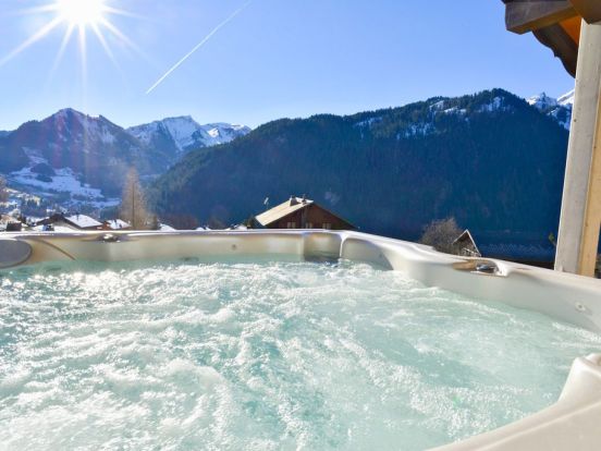 Chalet Les Frasses-3