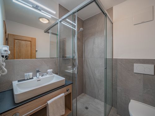 Chalet-appartement Andrea Gaisberg - 4-6 personen
