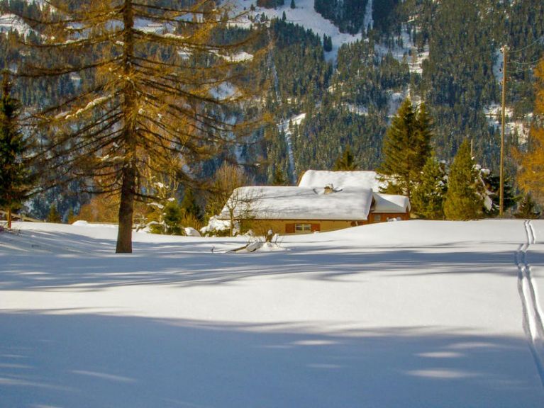 Chalet Zwärgli