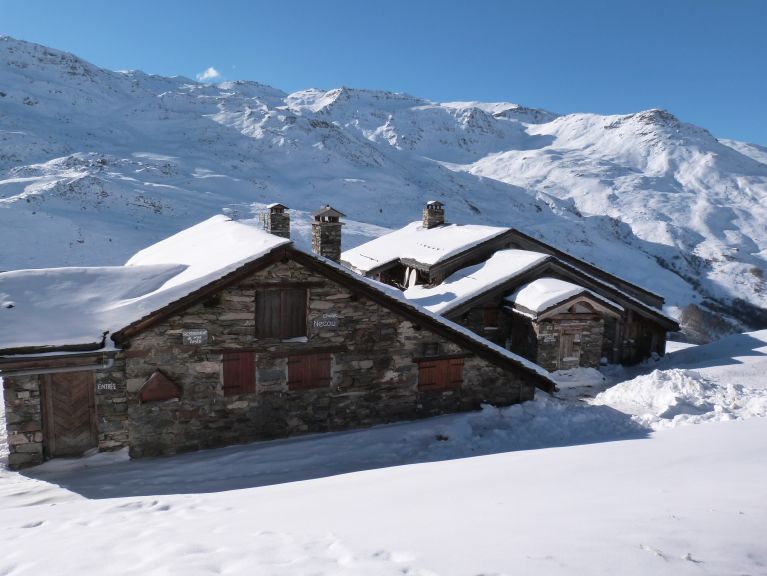 Chalet Necou met sauna