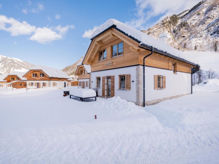 Chalet Riesneralm Bente