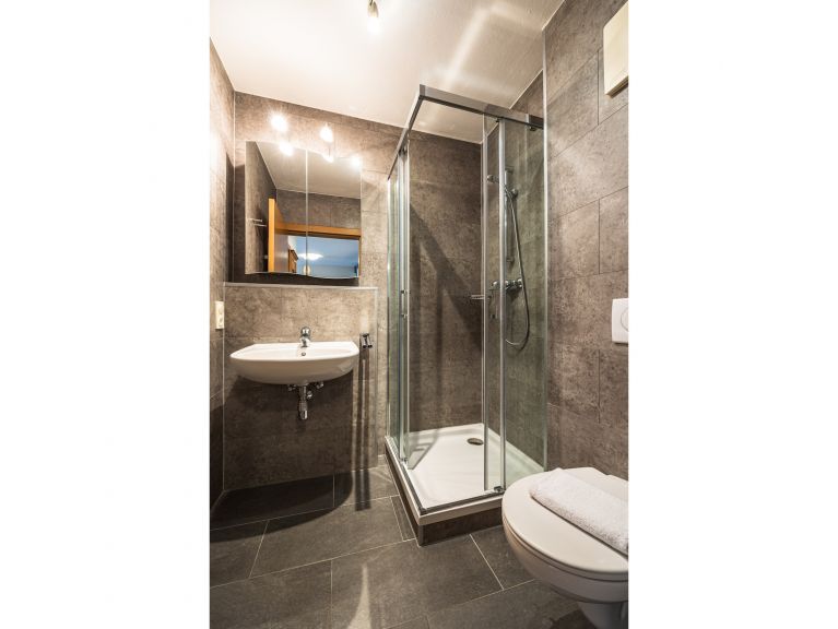 Appartement Wildbachhof combi