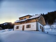 Chalet Riesneralm Liene-18