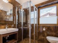 Chalet-appartement Wildkogelresorts Penthouse Type V-21