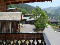 Chalet-appartement Pensée des Alpes-23