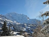 Chalet-appartement Roossi-14