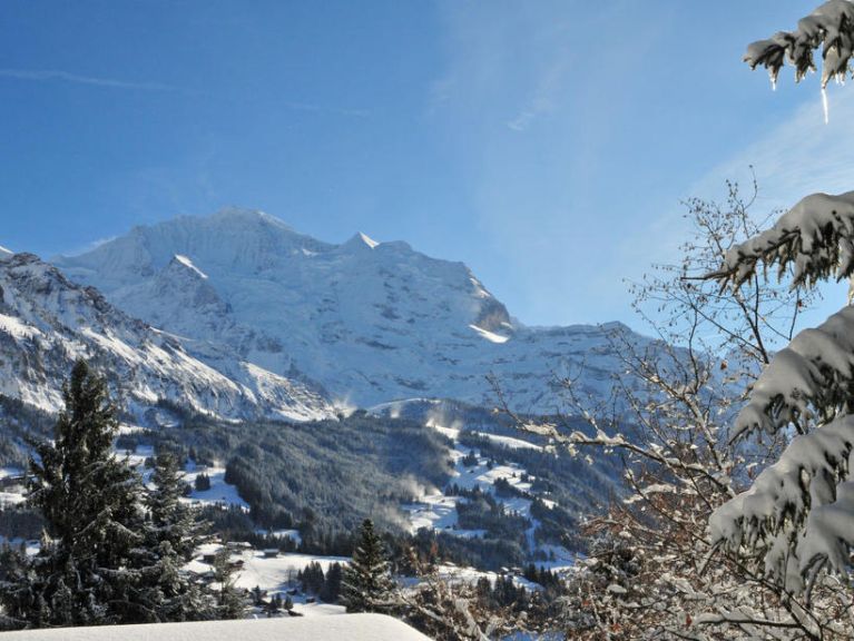 Chalet-appartement Roossi