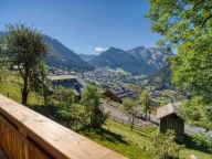 Chalet Les Oisillons met buitensauna-25