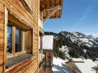 Chalet-appartement Les Portes du Grand Massif Type B-23