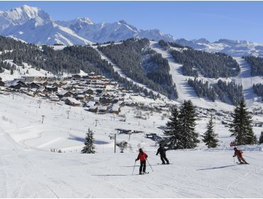 Skidorp Kindvriendelijk wintersportdorp met uitzicht op de Mont Blanc-2