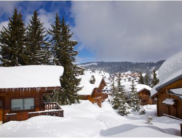 Skidorp Kindvriendelijk wintersportdorp met uitzicht op de Mont Blanc-3