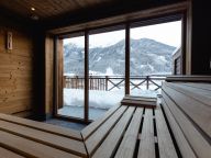 Chalet-appartement Das Neukirchen Type 4a-50