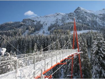 Skidorp Levendig, chique wintersportdorp met veel faciliteiten en après-ski-5