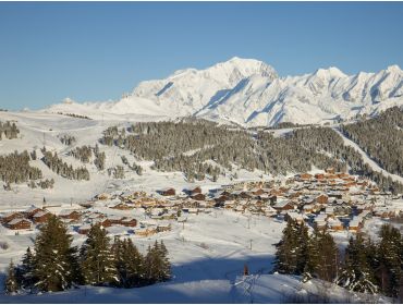 Skidorp Kindvriendelijk wintersportdorp met uitzicht op de Mont Blanc-5