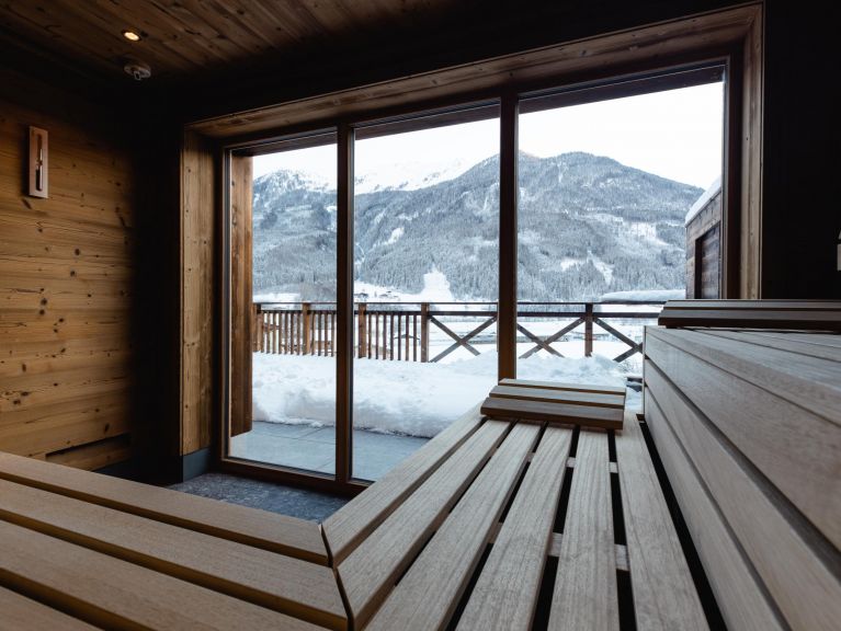 Chalet-appartement Das Neukirchen Type 2b