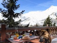 Chalet Le Hameau des Marmottes met familiekamer en sauna-50