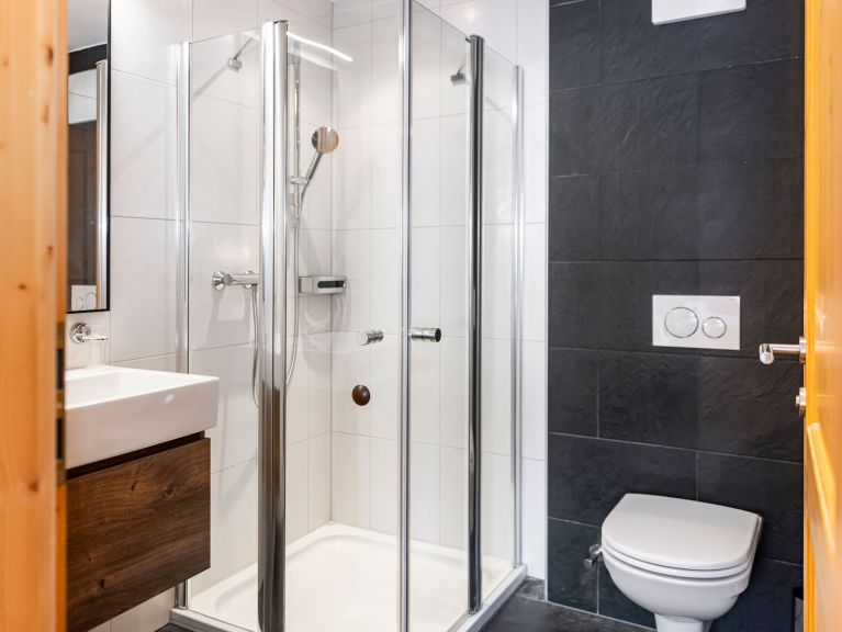 Appartement Residence Zillertal Type C3
