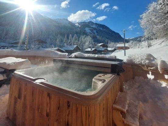 Chalet Alpina-3