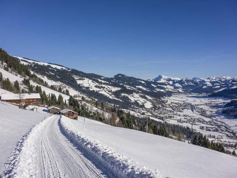 Appartement Troadstadl Brixentalblick