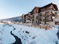 Chalet-appartement Das Neukirchen Penthouse Typ 4a-66