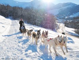 Skigebied Le Grand Domaine