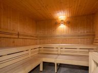 Chalet-appartement Wildkogelresorts Type IIa-9