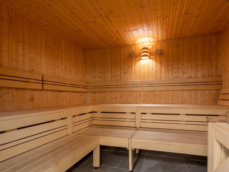 Chalet-appartement Wildkogelresorts Type IIa