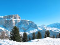 Appartement Cesa del Sass-20