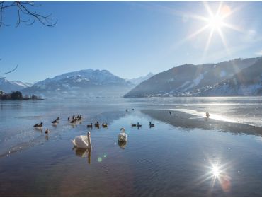 Skidorp Gelegen bij een meer en met diverse après-ski mogelijkheden-12