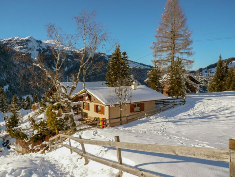 Chalet Zwärgli