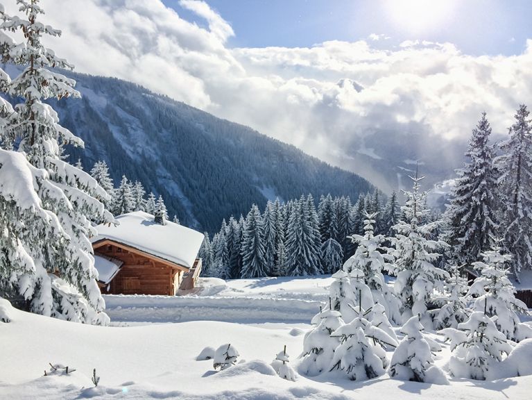 Chalet Les Gernes