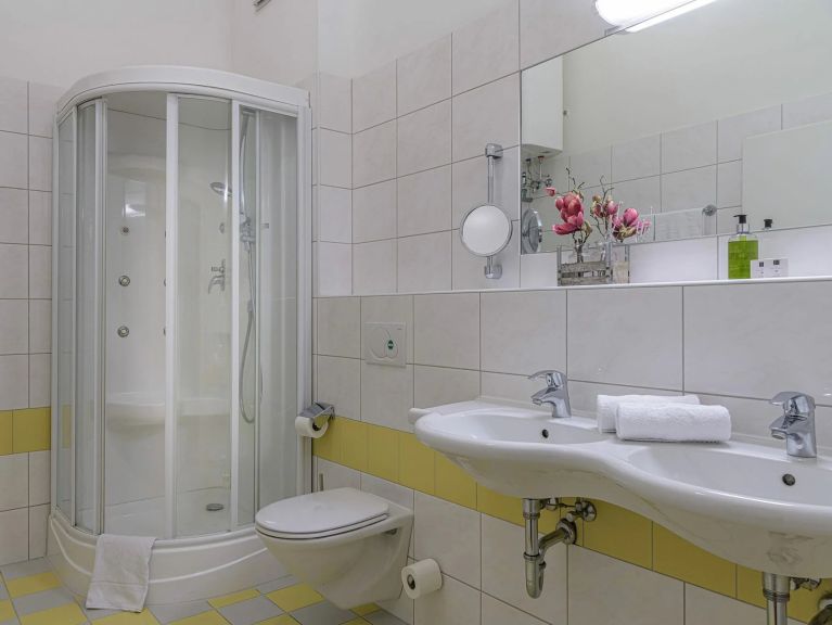 Chalet-appartement AlpenParks Rehrenberg Classic