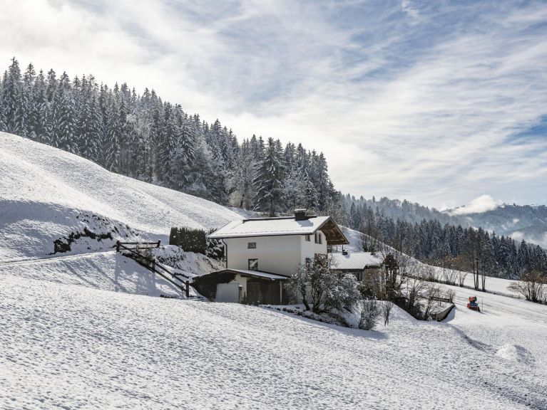 Chalet Linden Platzl