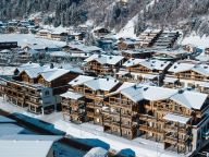 Chalet-appartement Das Neukirchen Type 2b-76