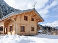 Chalet Savoyard-19