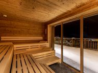 Chalet-appartement Das Neukirchen Maisonette Penthouse Typ 3b - met privé sauna-47