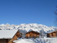 Chalet Almwelt Austria Jagahüttl-9