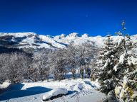Chalet La Marmotte-31